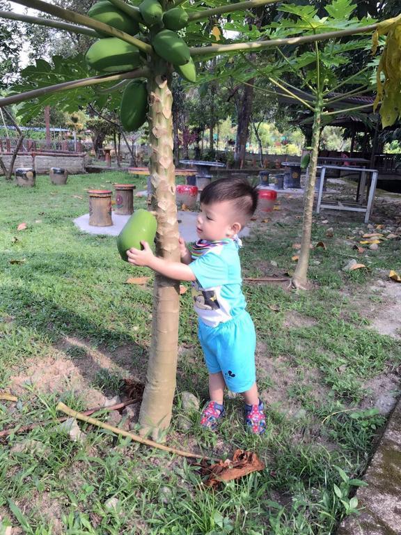 Homestay Happy Paradise *