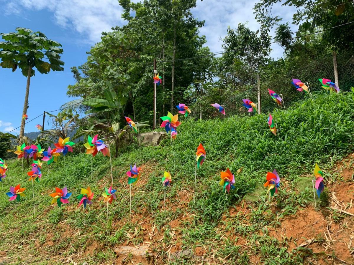 Homestay Happy Paradise Kampung Janda Baik