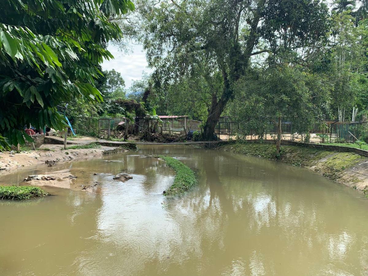 Happy Paradise Homestay Kampung Janda Baik